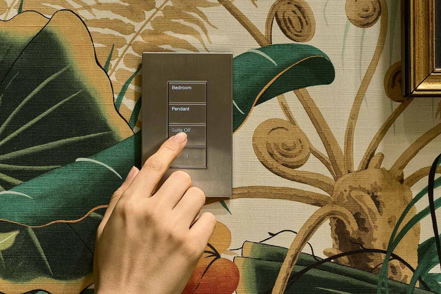 Highlight Décor and Create Ambiance