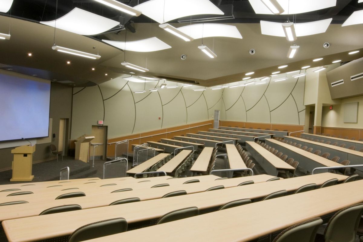 Higher Education