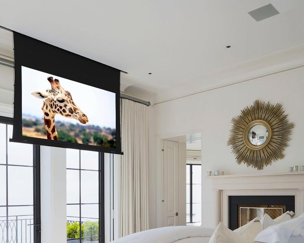 white living room with white curtains and a pull down projector screen with an image of a giraffe